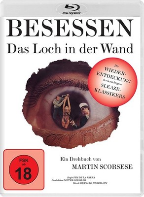 Besessen - Das Loch in der Wand Blu-ray Alexandra Stewart, Dieter Geissler