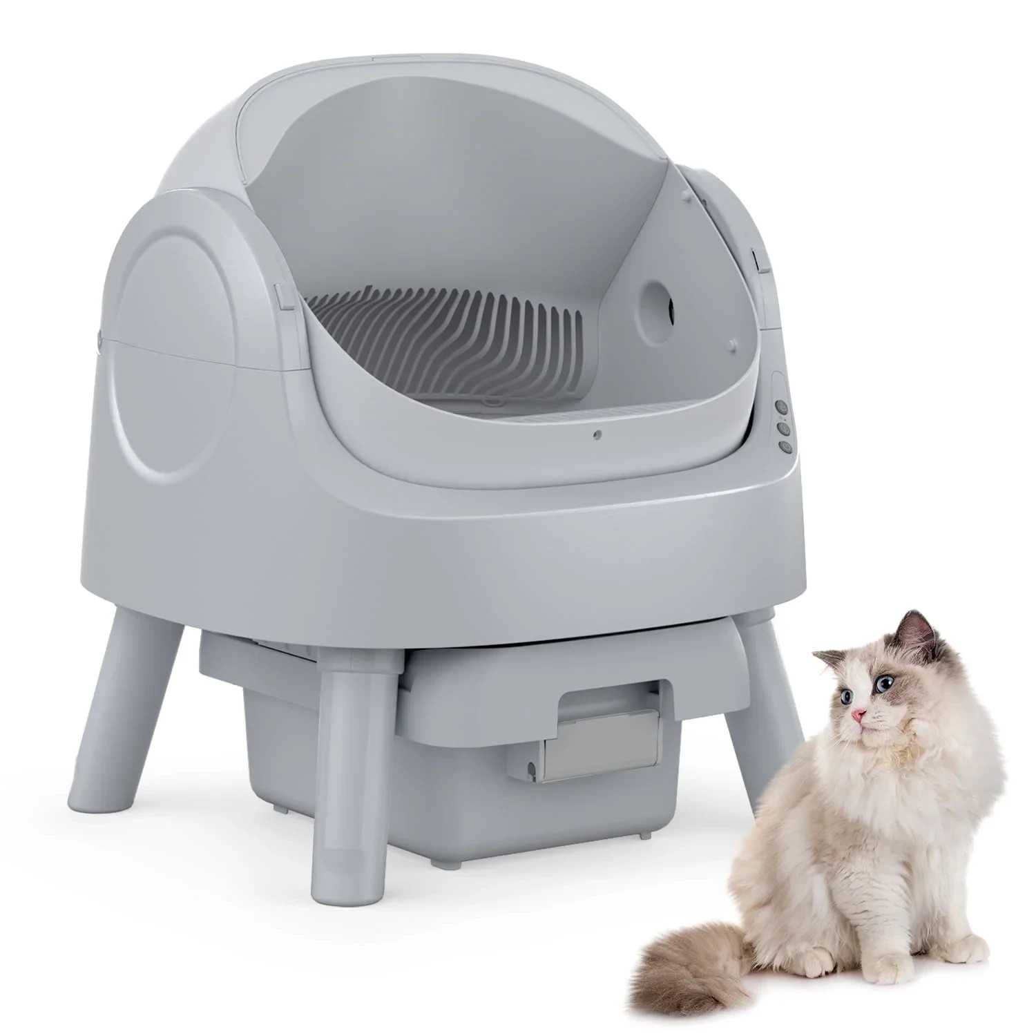 For Multiple Cats With Trash Bags And  Mat