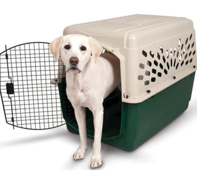 carrier kennel