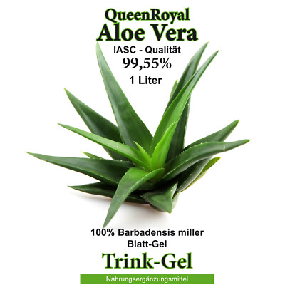 Aloe Vera 6 Liter Trink Gel 99.55% von QueenRoyal Barbadensis Miller.  30037-W | eBay