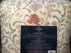 Picture 5 of 10