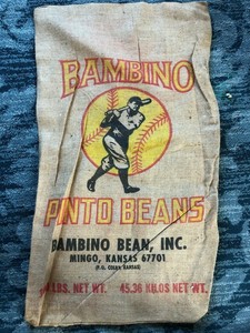 bambino bean bag
