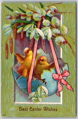 Best Easter Wishes Chicks Hatching Germany vintage embossed Postcard