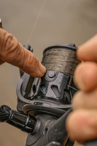 Fox NEW EOS PRO 10'000 Carp Fishing Reel CRL081 - Picture 4 of 5