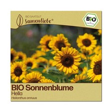 Samenliebe BIO Sonnenblume Samen Hella - gelb