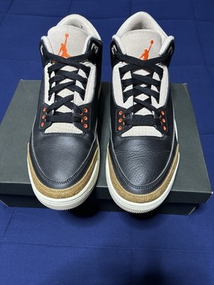 Size 12.5 - Jordan 3 Retro Desert Elephant 2022 CT8532-008