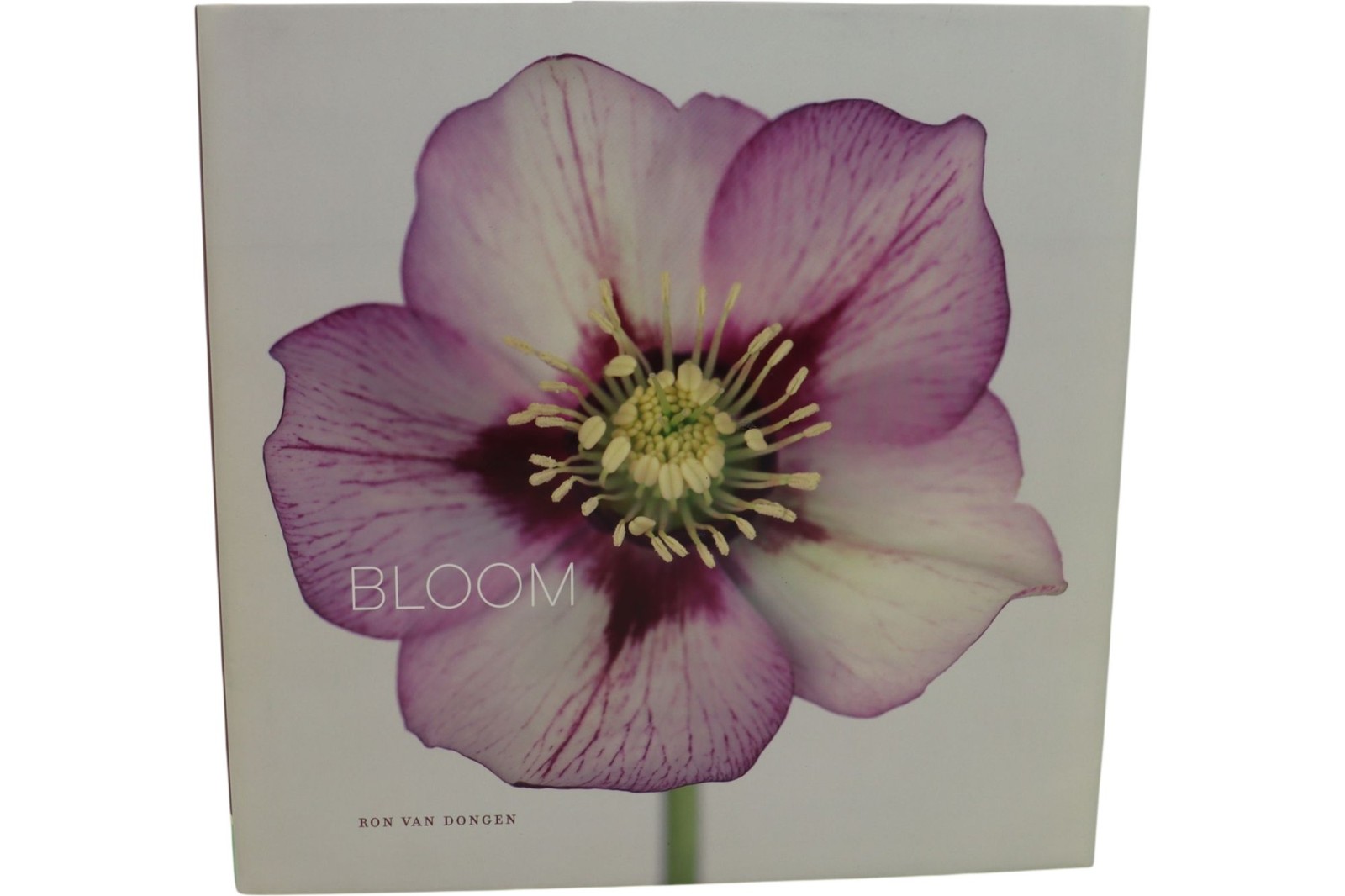 Bloom by Ron Van Dongen Photography Hardcover Art Book