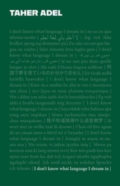I Dont Know What Language I Dream In