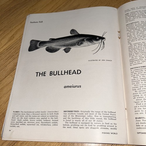Sep 1956 FISHING WORLD Magazine ZANE GREY Fishing Pioneer / CRYSTAL RIVER - Picture 15 of 17