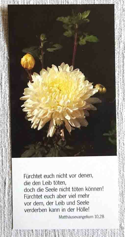 Lesezeichen, Chrysantheme, "Fürchtet euch nicht" Bibel Matthäus, ca. 7 x 15 cm