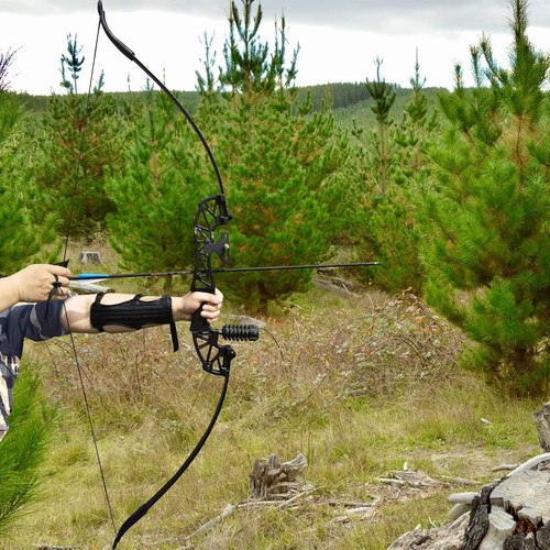 Recurve Bow and Arrow for Adults 12 Carbon Arrows Hunting Bow Set Longbows Arrow - Picture 5 of 12