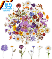 120 Transparente Scrapbooking Aufkleber, Pet Blumen Aufkleber Pflanzen Sticker,