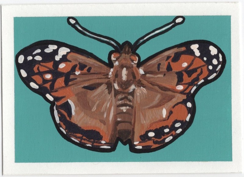 ACEO Original Art Painting Butterfly Insect Teal PNW Colorful by Lpothanart
