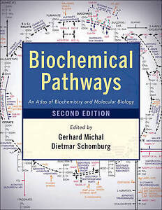 Buy Roche Biochemical Pathways Wall Chart