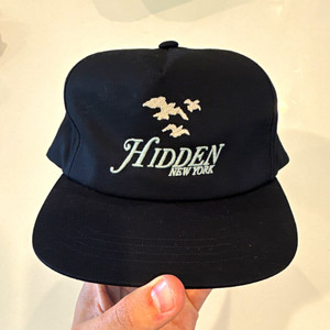 Hidden NY Hat | eBay