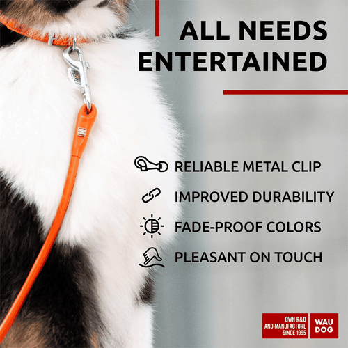 WAUDOG gerollte Leder Hundeleine 4 Fuß * 0,5 Zoll für kleine mittlere und große Hunde - Bild 4 von 6