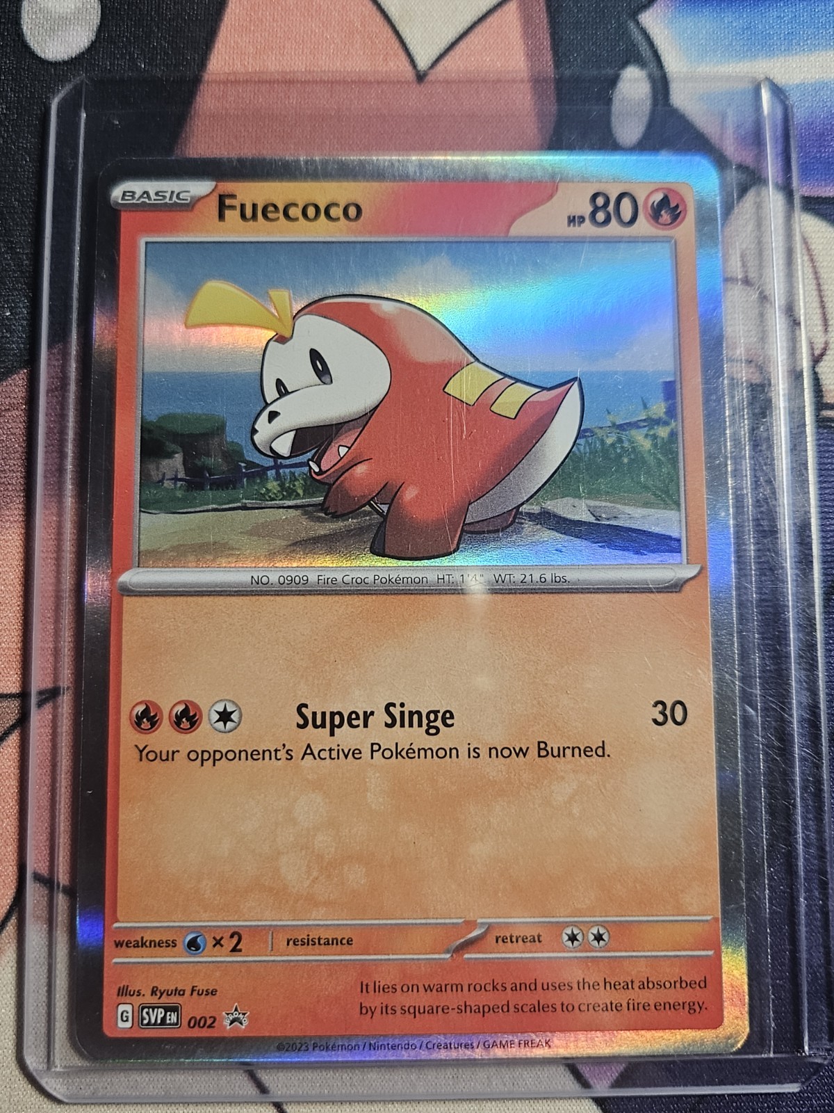 Pokemon Scarlet & Violet Black Star Promo Fuecoco SVP 002