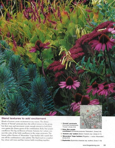 Autumn Garden Magazine Seasonal Plants and Flowers Containers Late Season 2010 - Picture 4 of 6