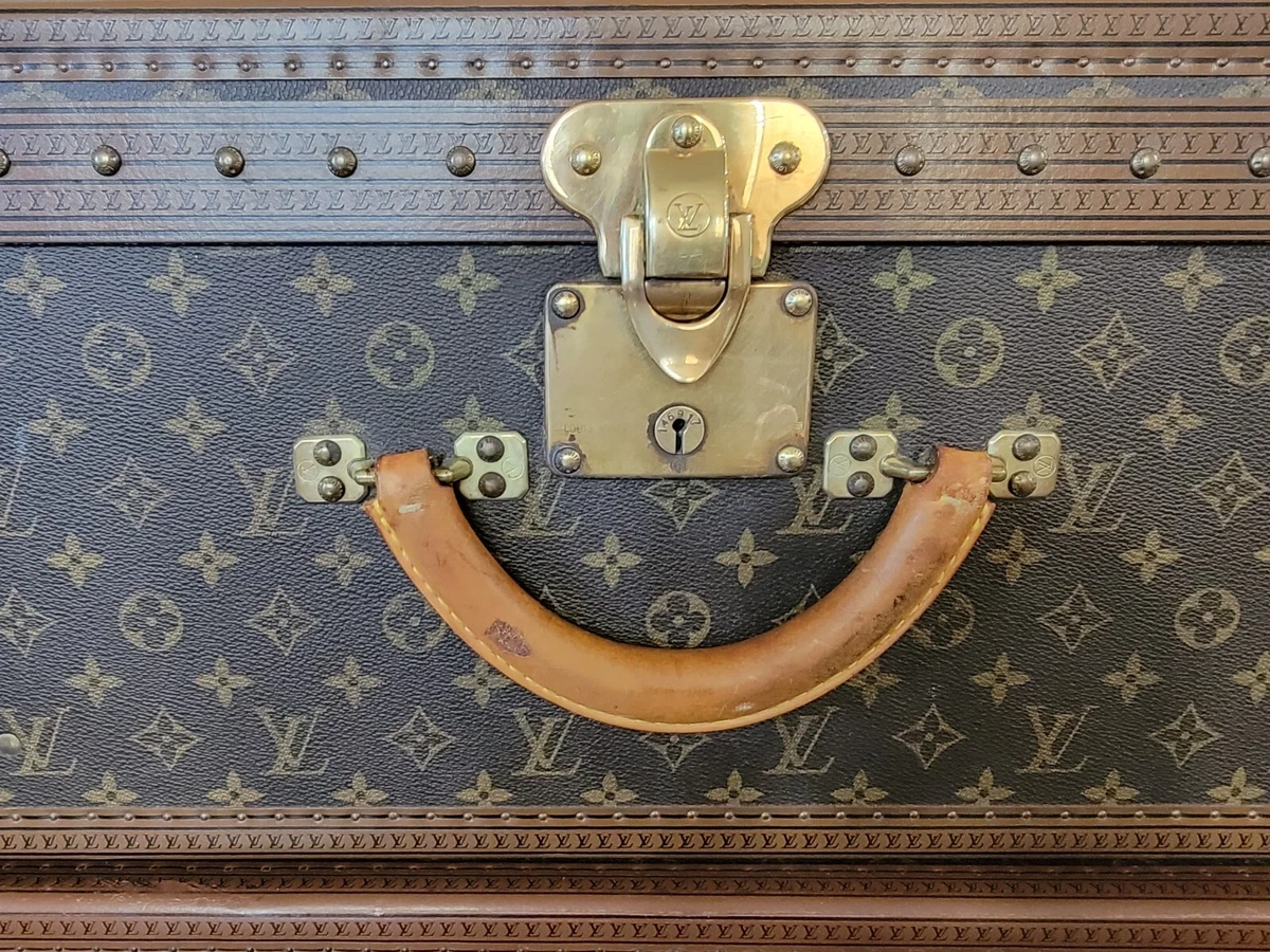 vuitton suitcase cover