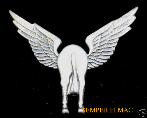 HORSE'S ASS WING GAG GIFT PIN UP HORSE FAA PILOT CREW AVIATION SOLO WOW - Bild 1 von 1