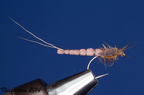 Fliegentom Trockenfliege 3 Stück brauner Spinner - Bild 2 von 6
