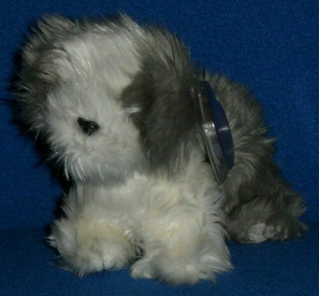 grey and white sheepdog