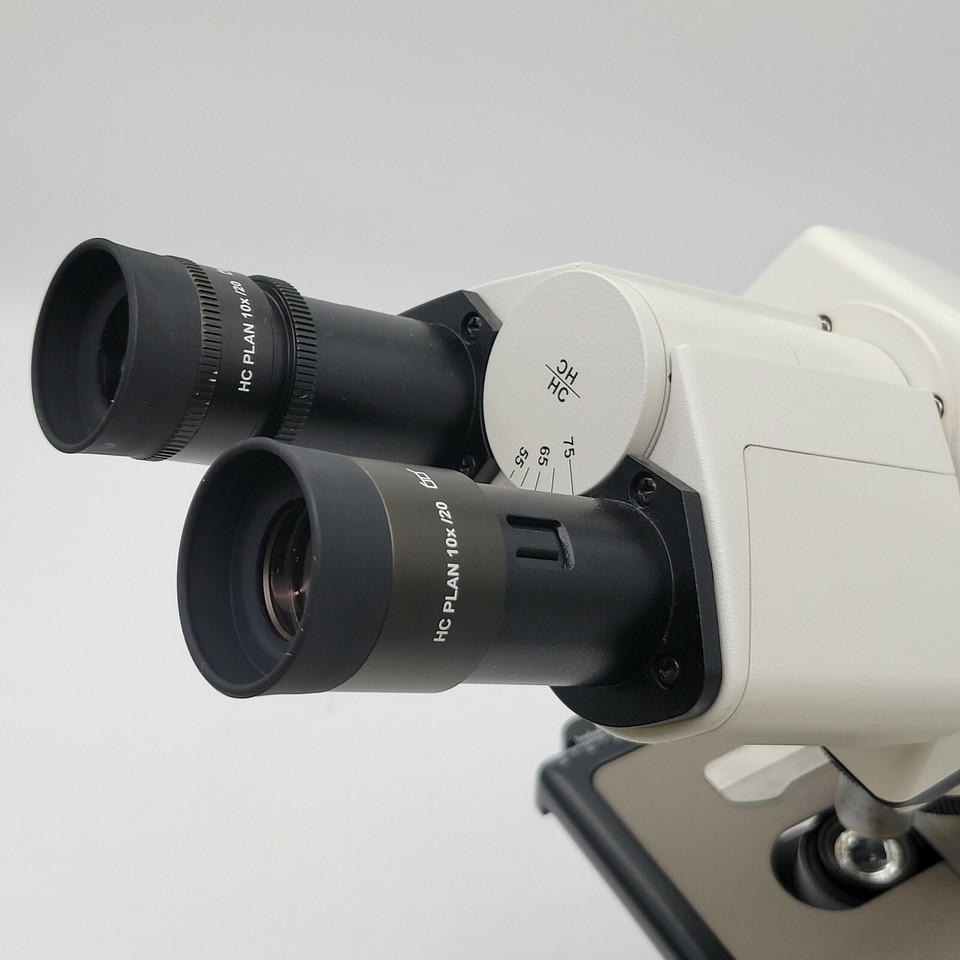 Leica Microscope DM1000 with Binocular Head and 4x, 10x, 40x, 100x ...
