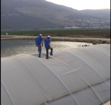 7 MIL CLEAR REINFORCED GREENHOUSE FILM MEGA TOUGH - FREE SHIPPING