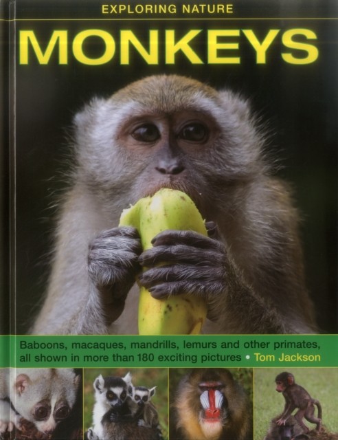 Exploring Nature: Monkeys by Jackson Tom (Hardback Book)