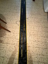 Canna bad bass ANNIVERSARY 13ft 4-6 Oz.