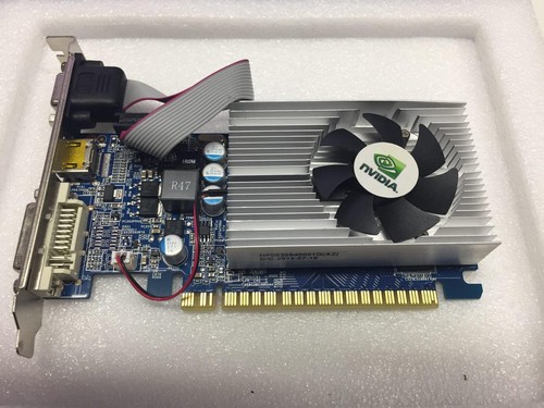 Nvidia GeForce GT620 1GB