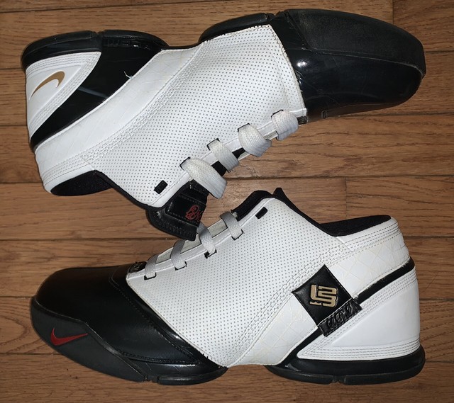 lebron james shoes 5