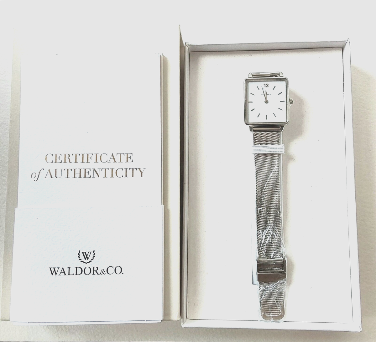 Waldor Co Eternal 28 Stainless Steel Watch WR 3ATM Japan