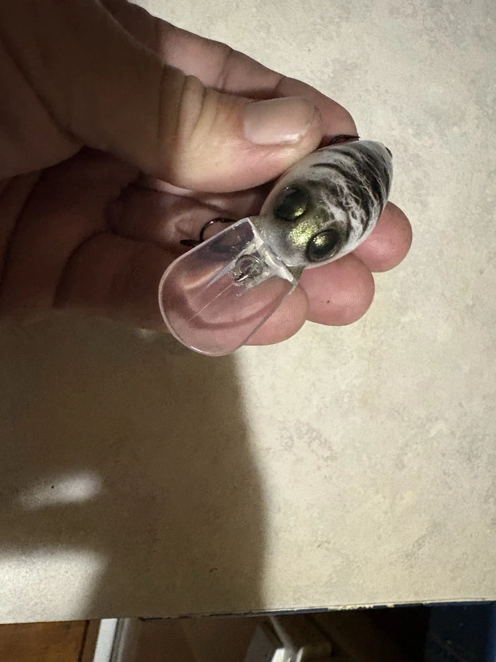 Verruga movible pintada a medida Foto 4 de 4