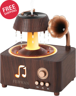 White Noise Rain Sound Essential Oil Aromatherapy Diffuser Humidifier Bluetooth