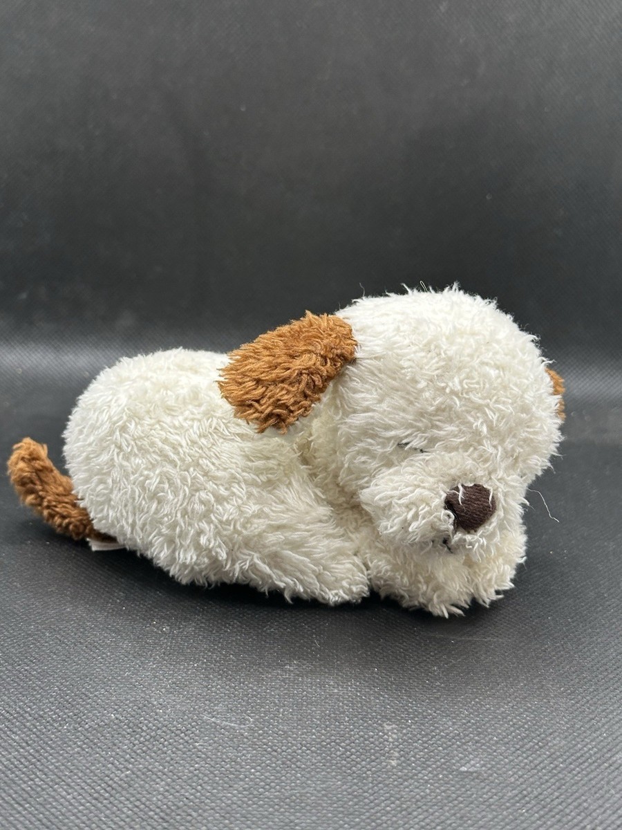 JELLYCAT Napping Nipper Kitty Cat Plush Mini Stuffed Animal - No
