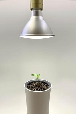 15W LED Grow Light with E27 Socket - Plant Light for Indoor Plants, Full Spec...