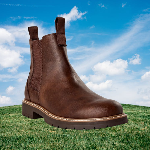 Portland Boot Company Men display picture 2