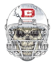 DC Defenders Skull Helmet NEW XFL Decal / Sticker 10 sizes!! Tracking!!