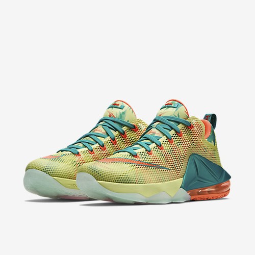 lebron 12 low palmer