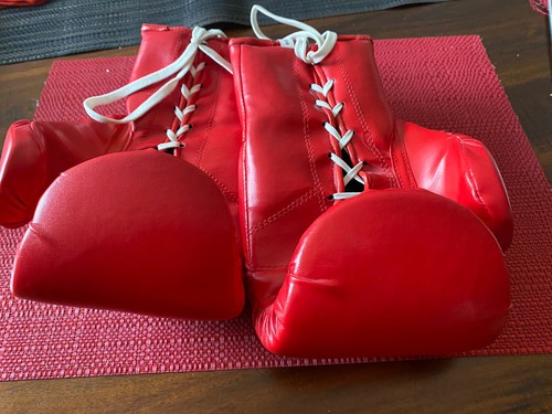 Danny Green Hand Signed Gloves Boxing Offical Authentic FENECHS 10 OZ Vintage - Picture 7 of 12