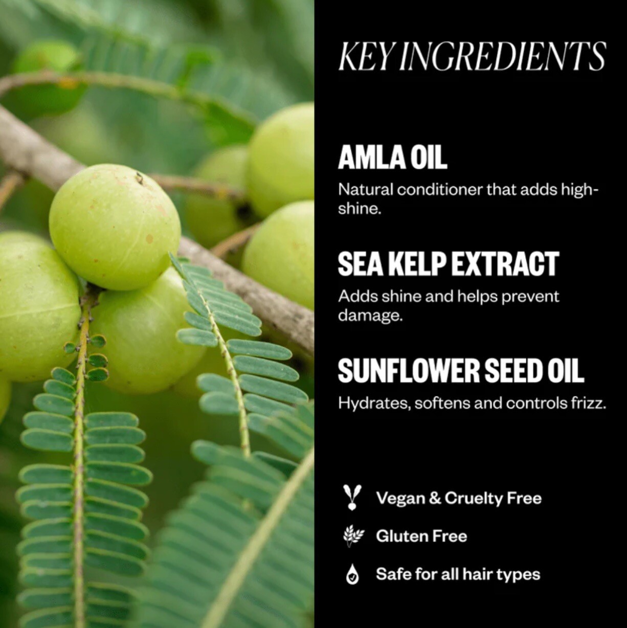 IGK EXPENSIVE HIGH SHINE GLOSS TREATMENT