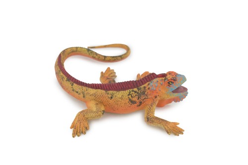 Toy Orange Marine Iguana Lizard Reptile Realistic Figure Gift 4" CH512BB157 - 第 1/8 張圖片