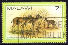 MALAWI used    26/7