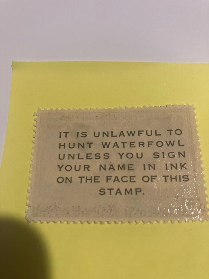 RW17 Trumpeter Swans Federal Duck Stamp MNH see comment section gum pickup - Image 2 of 3