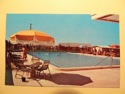 Beacon Square Pool Beacon Square Civic Center Holiday Florida vintage postcard 