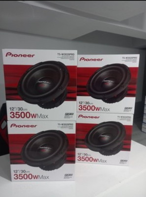 PIONEER TS-W3020PRO Subwoofer 12