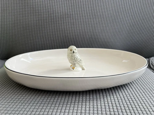 NEW Rae Dunn Harry Potter Hedwig Owl Ceramic Serving Platter Dish Plate