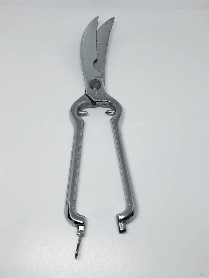 CSC Geflügelschere - Kochqualität - Made In Italy