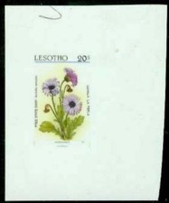 Lesotho 1987 Daisy 20s glossy plastic MASTER PROOF